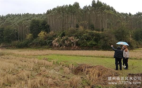 蓟州区陈老师带着爱徒寻龙点穴